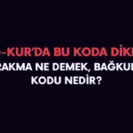 Bağkur 01 Terk Kodu Nedir?