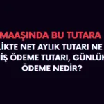 emekli ödeme bilgilerinde net aylık tutarı ne demek