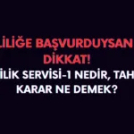 1.emeklilik servisi 4a tahsis ne demek