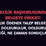 Gelir aylık/ödenek talep belgesi nedir