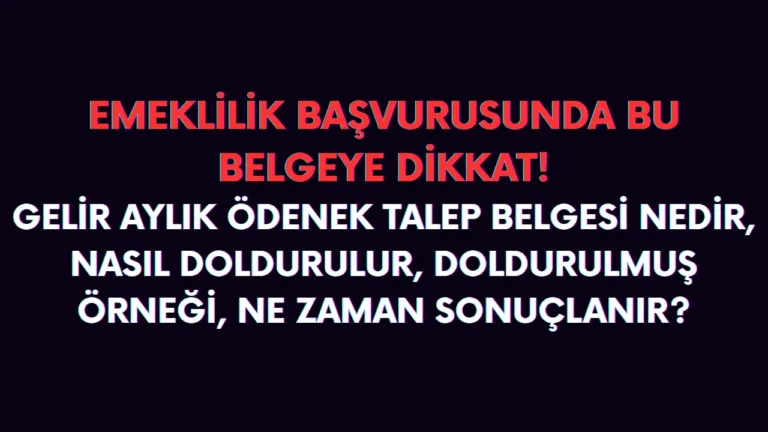 Gelir aylık/ödenek talep belgesi nedir