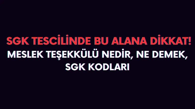 Mesleki teşekkül ne demek